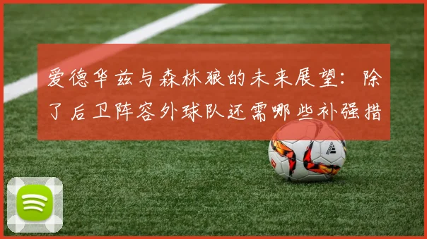 爱德华兹与森林狼的未来展望：除了后卫阵容外球队还需哪些补强措施