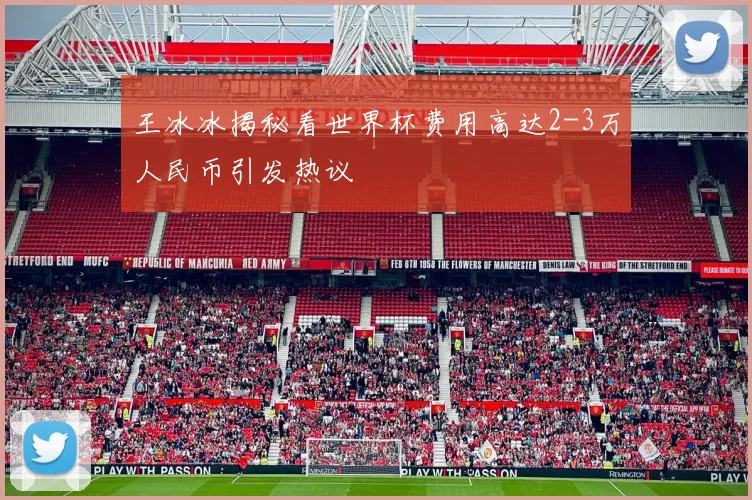 王冰冰揭秘看世界杯费用高达2-3万人民币引发热议