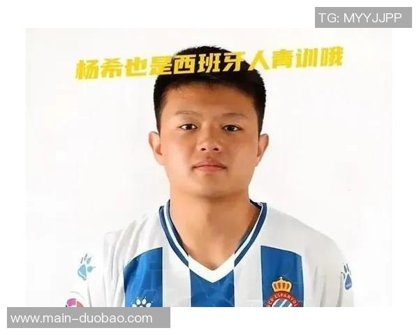 杨希转会费143万欧或成本土标王总额约1170万人民币引发关注